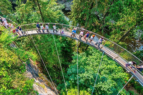 Vancouver City Tour + Capilano Suspension Bridge